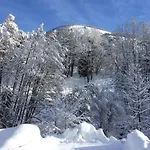 Le Savoyard Chalet Châtel