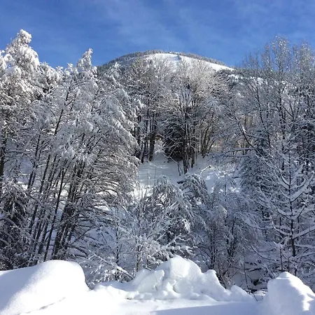 Le Savoyard Chalet Châtel