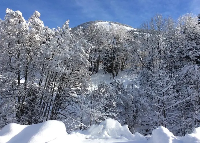 Le Savoyard 샬레 Châtel